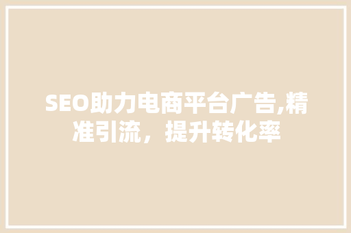 SEO助力电商平台广告,精准引流，提升转化率