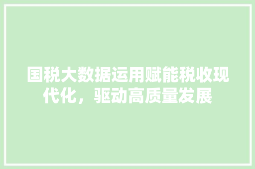 国税大数据运用赋能税收现代化，驱动高质量发展  第1张