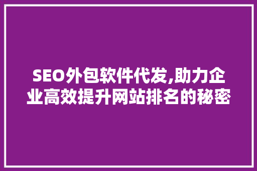 SEO外包软件代发,助力企业高效提升网站排名的秘密武器