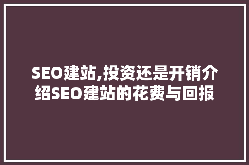 SEO建站,投资还是开销介绍SEO建站的花费与回报  第1张