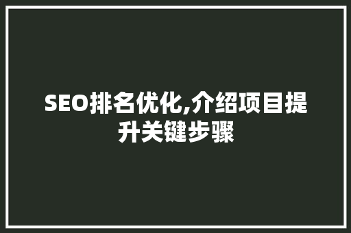 SEO排名优化,介绍项目提升关键步骤
