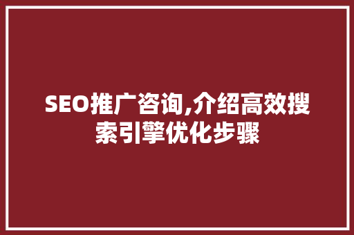 SEO推广咨询,介绍高效搜索引擎优化步骤
