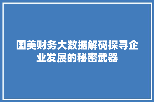 国美财务大数据解码探寻企业发展的秘密武器