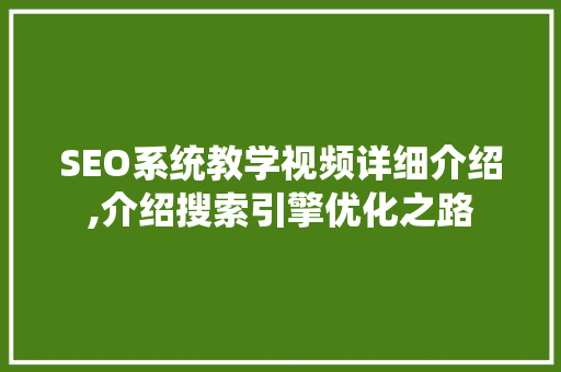 SEO系统教学视频详细介绍,介绍搜索引擎优化之路