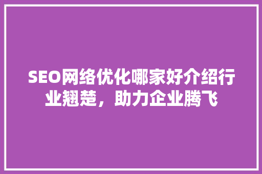 SEO网络优化哪家好介绍行业翘楚，助力企业腾飞