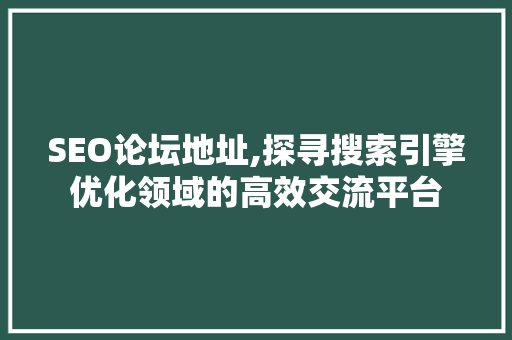 SEO论坛地址,探寻搜索引擎优化领域的高效交流平台