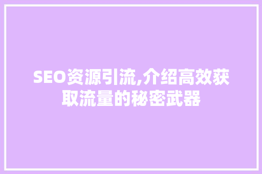 SEO资源引流,介绍高效获取流量的秘密武器