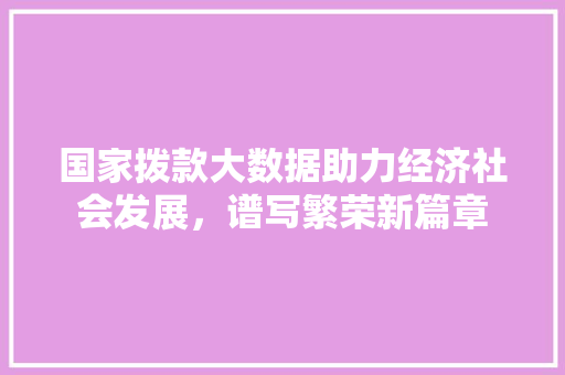 国家拨款大数据助力经济社会发展，谱写繁荣新篇章  第1张