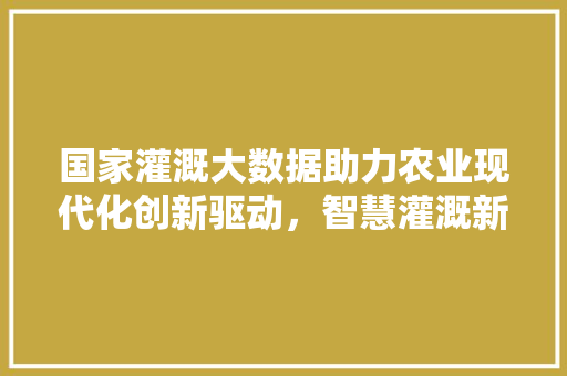 国家灌溉大数据助力农业现代化创新驱动，智慧灌溉新篇章
