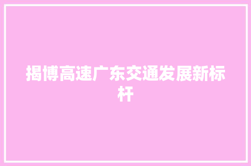 揭博高速广东交通发展新标杆