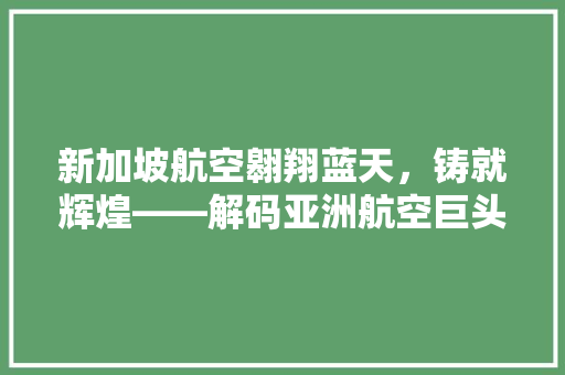 新加坡航空翱翔蓝天，铸就辉煌——解码亚洲航空巨头
