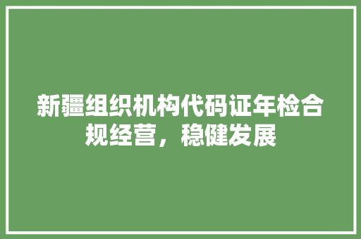 新疆组织机构代码证年检合规经营，稳健发展
