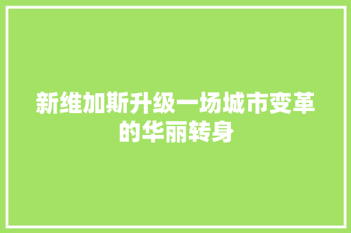 新维加斯升级一场城市变革的华丽转身  第1张