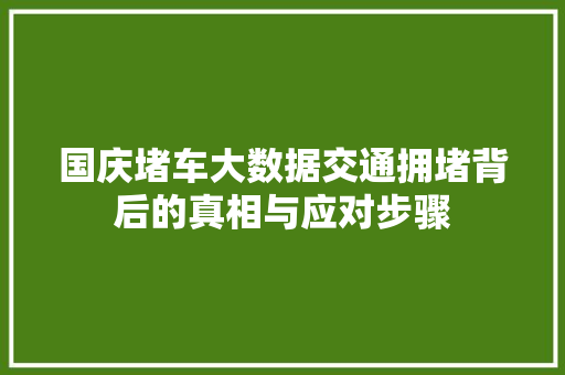 国庆堵车大数据交通拥堵背后的真相与应对步骤  第1张