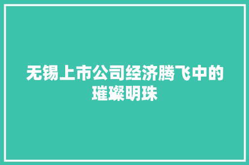 无锡上市公司经济腾飞中的璀璨明珠