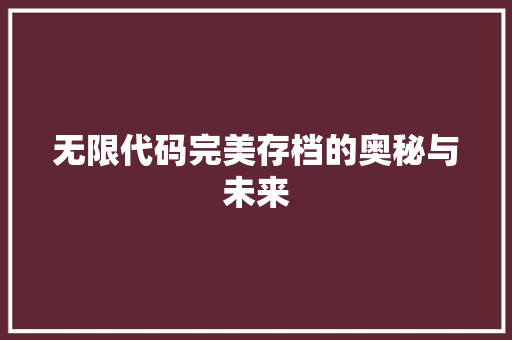 无限代码完美存档的奥秘与未来