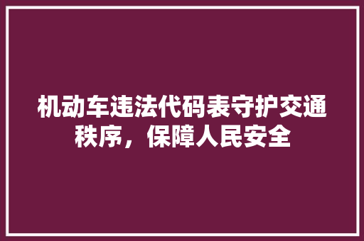 机动车违法代码表守护交通秩序，保障人民安全