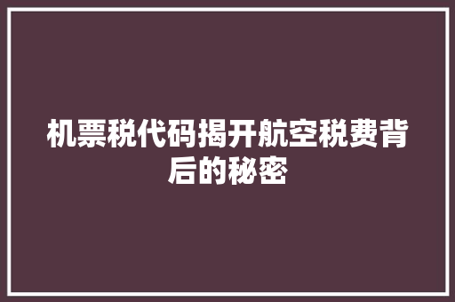 机票税代码揭开航空税费背后的秘密