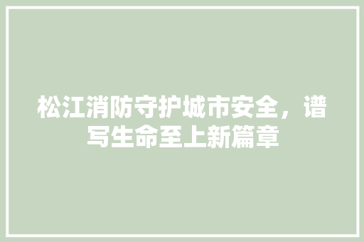 松江消防守护城市安全，谱写生命至上新篇章