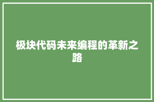 极块代码未来编程的革新之路
