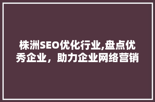 株洲SEO优化行业,盘点优秀企业，助力企业网络营销腾飞