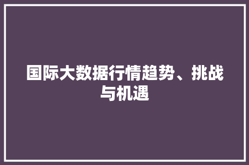 国际大数据行情趋势、挑战与机遇