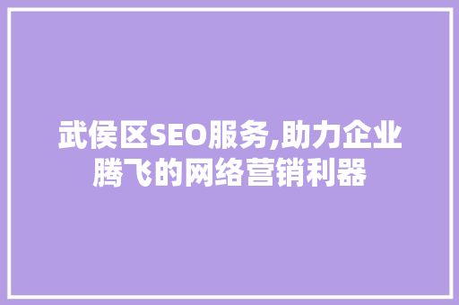 武侯区SEO服务,助力企业腾飞的网络营销利器