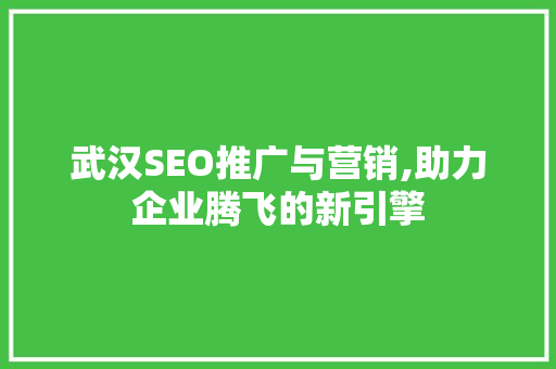 武汉SEO推广与营销,助力企业腾飞的新引擎