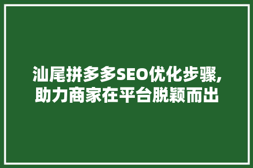 汕尾拼多多SEO优化步骤,助力商家在平台脱颖而出