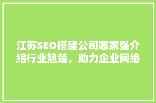 江苏SEO搭建公司哪家强介绍行业翘楚，助力企业网络营销腾飞