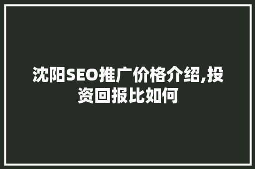 沈阳SEO推广价格介绍,投资回报比如何