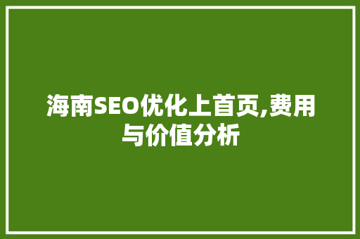 海南SEO优化上首页,费用与价值分析