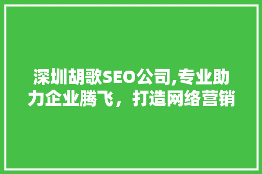 深圳胡歌SEO公司,专业助力企业腾飞，打造网络营销新格局