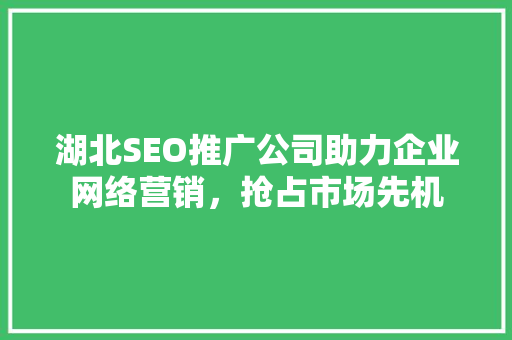 湖北SEO推广公司助力企业网络营销，抢占市场先机