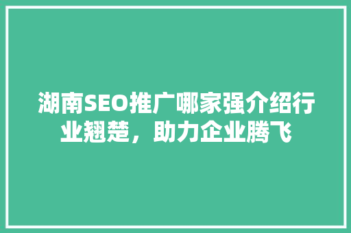 湖南SEO推广哪家强介绍行业翘楚，助力企业腾飞