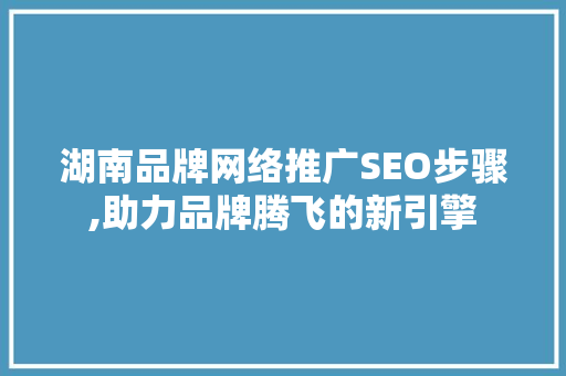 湖南品牌网络推广SEO步骤,助力品牌腾飞的新引擎