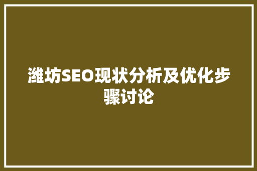 潍坊SEO现状分析及优化步骤讨论