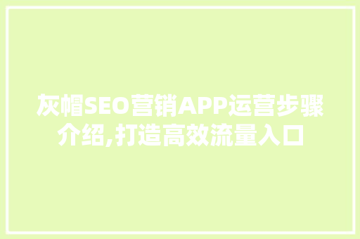 灰帽SEO营销APP运营步骤介绍,打造高效流量入口