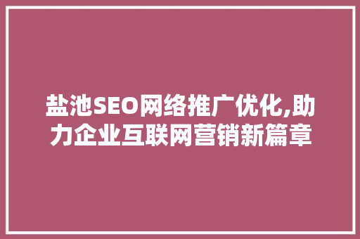 盐池SEO网络推广优化,助力企业互联网营销新篇章
