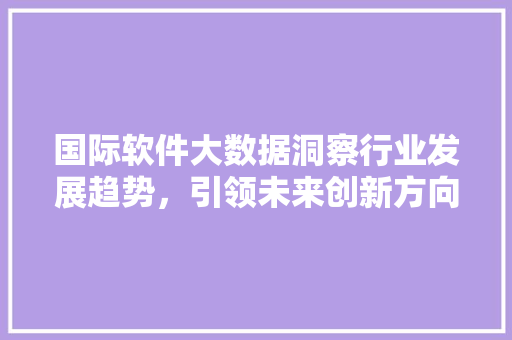 国际软件大数据洞察行业发展趋势，引领未来创新方向  第1张