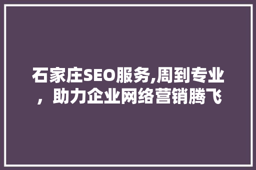 石家庄SEO服务,周到专业，助力企业网络营销腾飞