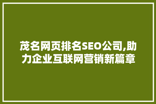 茂名网页排名SEO公司,助力企业互联网营销新篇章