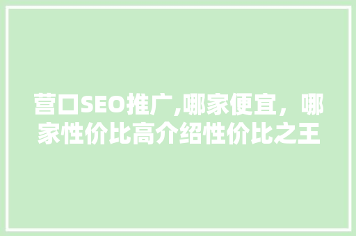 营口SEO推广,哪家便宜，哪家性价比高介绍性价比之王！