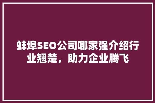 蚌埠SEO公司哪家强介绍行业翘楚，助力企业腾飞