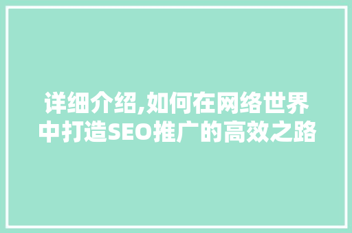 详细介绍,如何在网络世界中打造SEO推广的高效之路