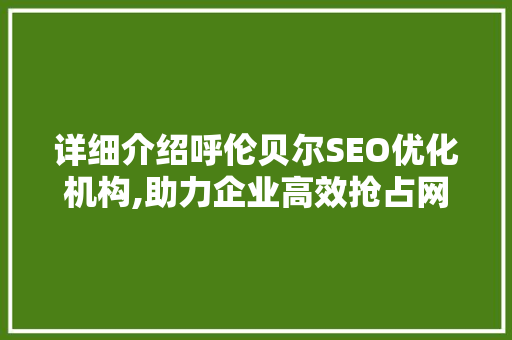 详细介绍呼伦贝尔SEO优化机构,助力企业高效抢占网络市场