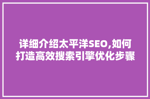 详细介绍太平洋SEO,如何打造高效搜索引擎优化步骤