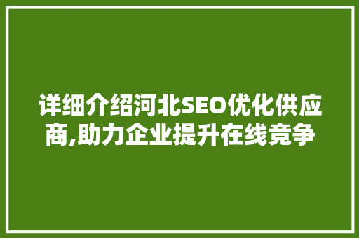 详细介绍河北SEO优化供应商,助力企业提升在线竞争力