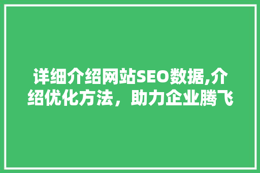 详细介绍网站SEO数据,介绍优化方法，助力企业腾飞
