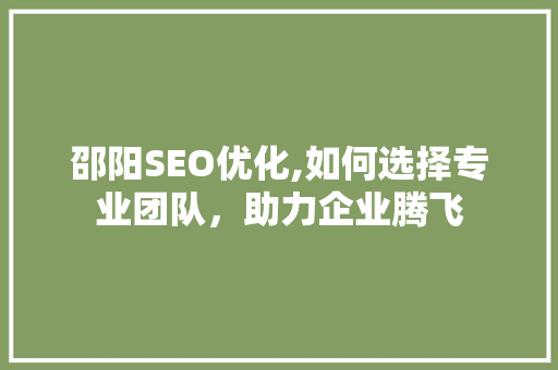 邵阳SEO优化,如何选择专业团队，助力企业腾飞